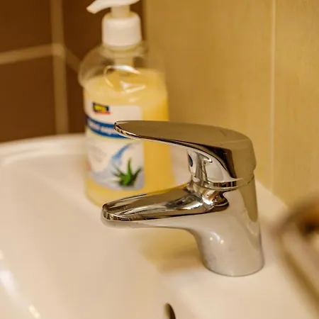 Aparthotel Mico Bradina Slepcevic